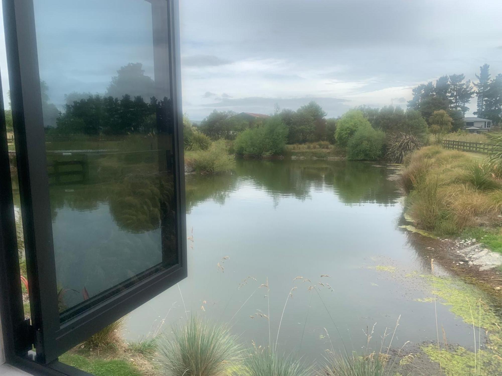 Bellevue Haven Villa Masterton Kültér fotó